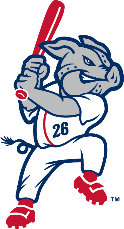 Lehigh Valley IronPigs 2008-Pres Alternate Logo v2 iron on transfers for T-shirts